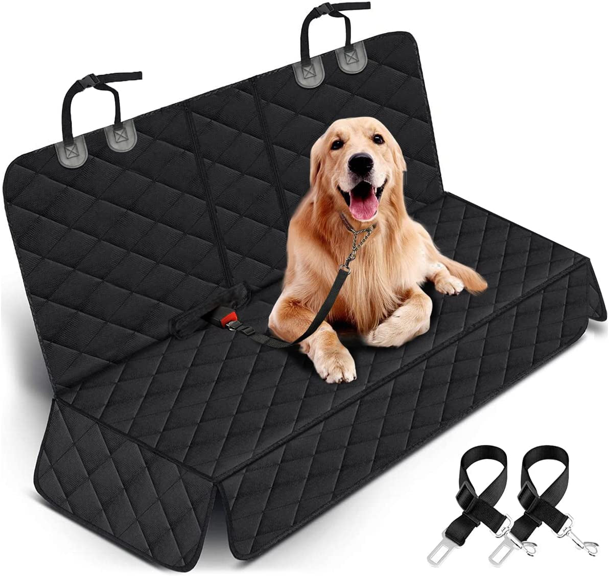TravelPaws